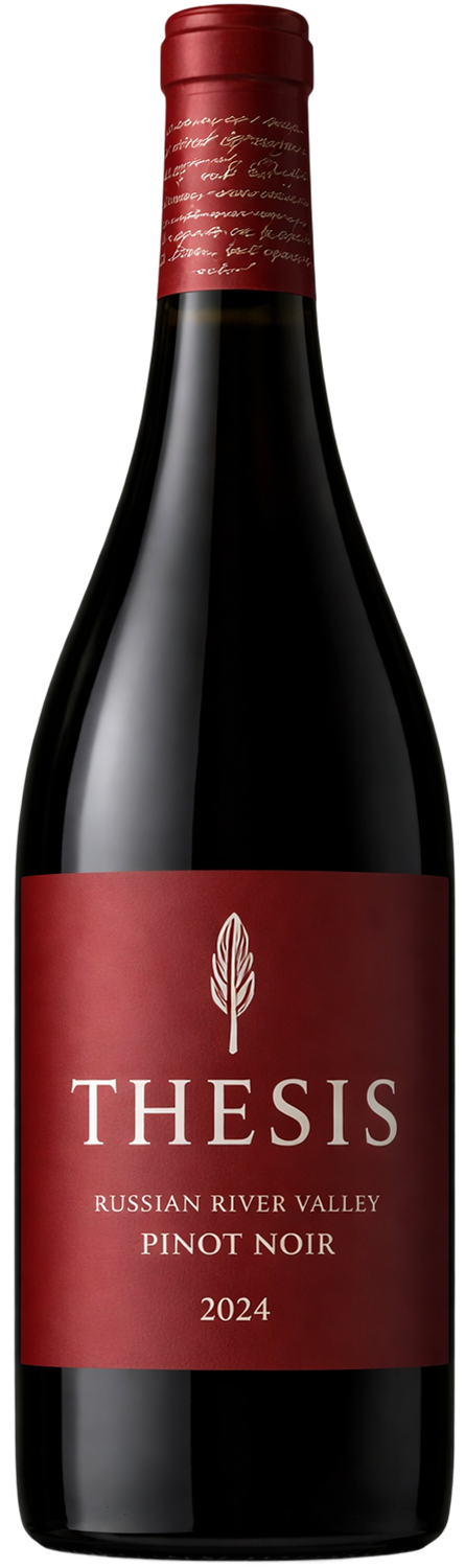 Thesis, Pinot Noir, 2024